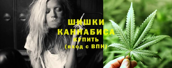 ГАЛЛЮЦИНОГЕННЫЕ ГРИБЫ Тавда