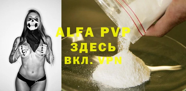 спиды Сясьстрой