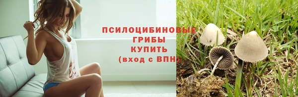 PSILOCYBIN Верея